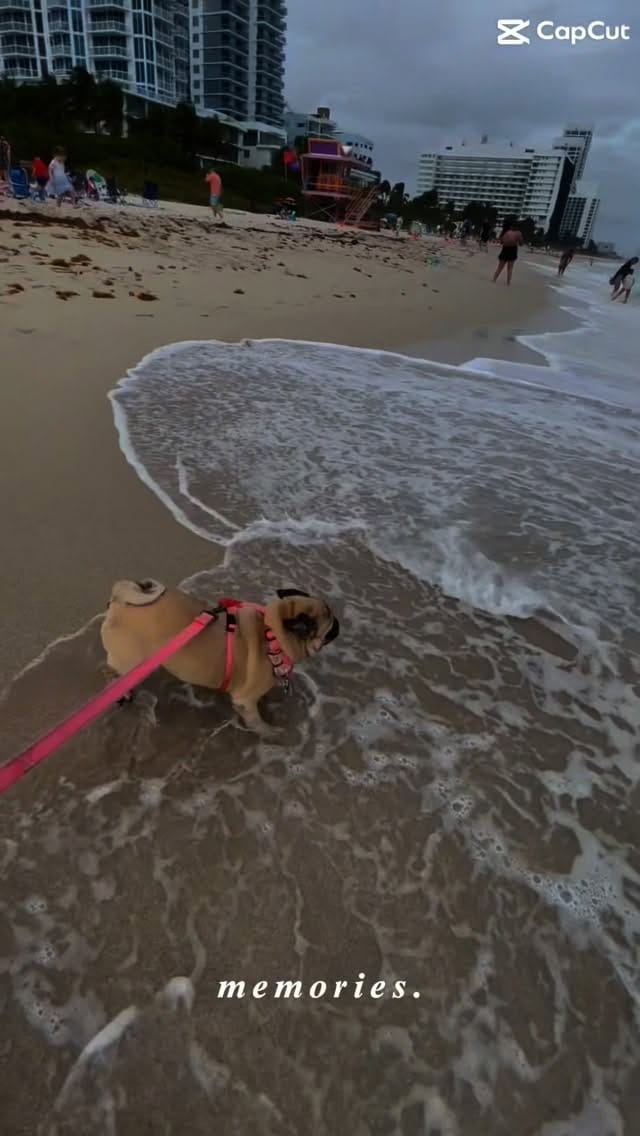 Post 10 by Catherine Rojas on Instagram (video)