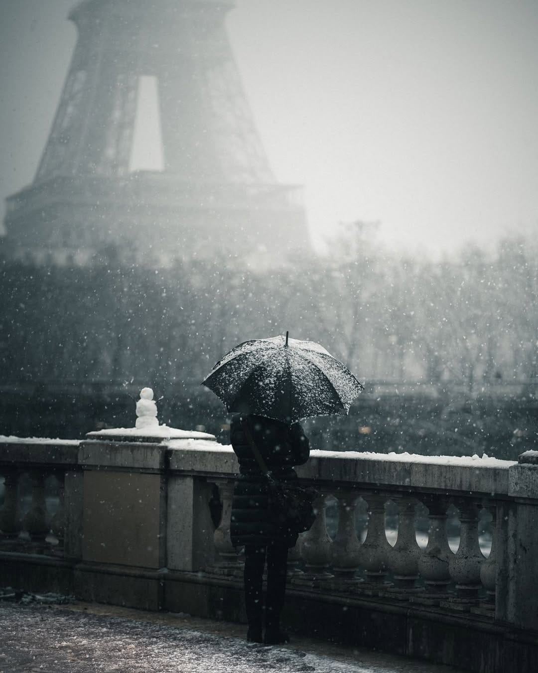 Post 10 by Zefyr｜Photographe Paris｜Cinematic on Instagram (image)