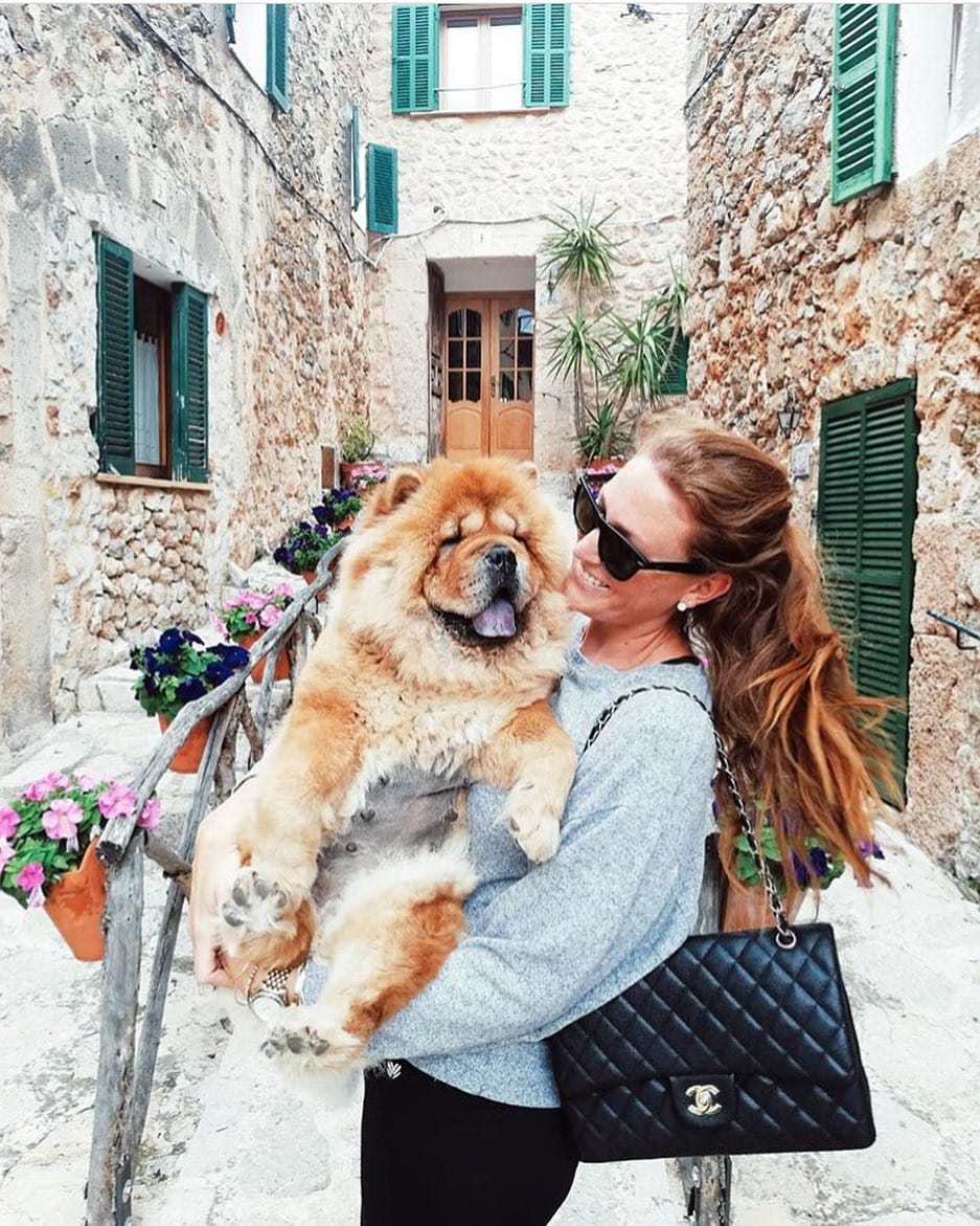 Post 1 by Chow Chow Leona on Instagram (image)