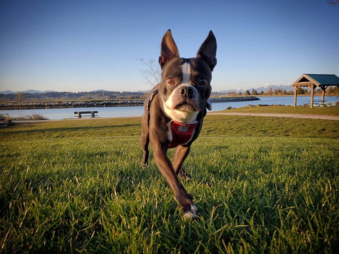 Post 8 by Sir on Instagram (image)