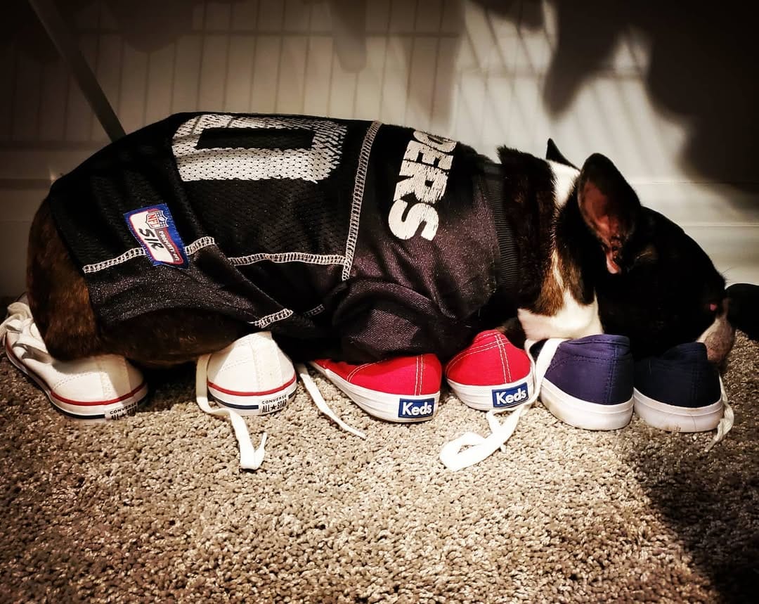 Post 5 by Sir on Instagram (image)