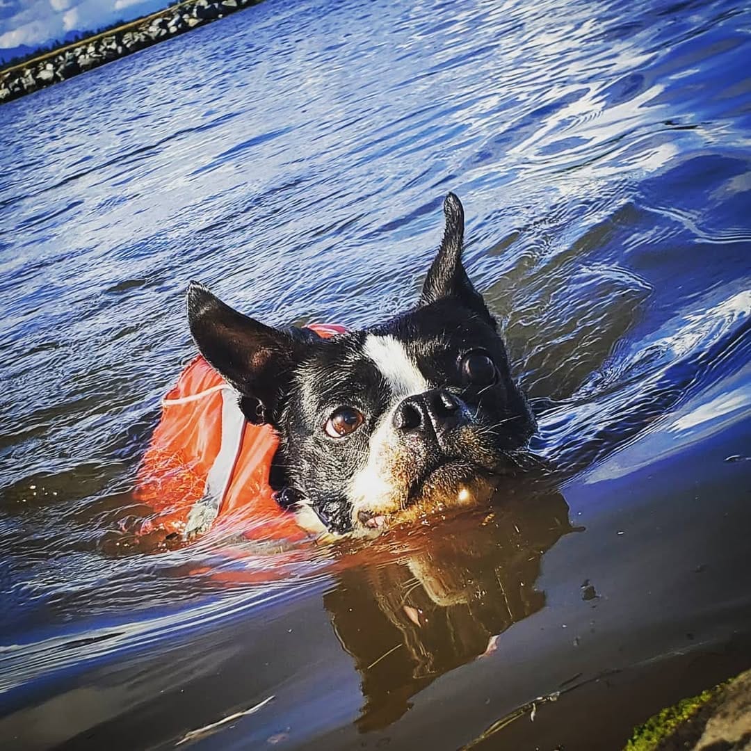 Post 6 by Sir on Instagram (image)