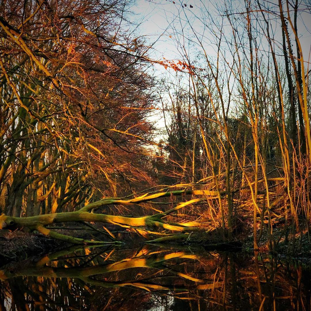Post 3 by Anthony Verolme on Instagram (image)