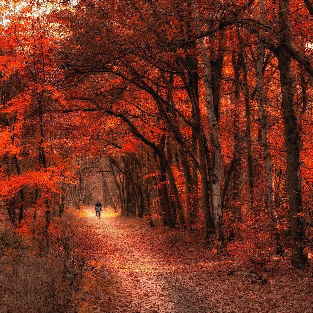 Post 6 by Anthony Verolme on Instagram (image)