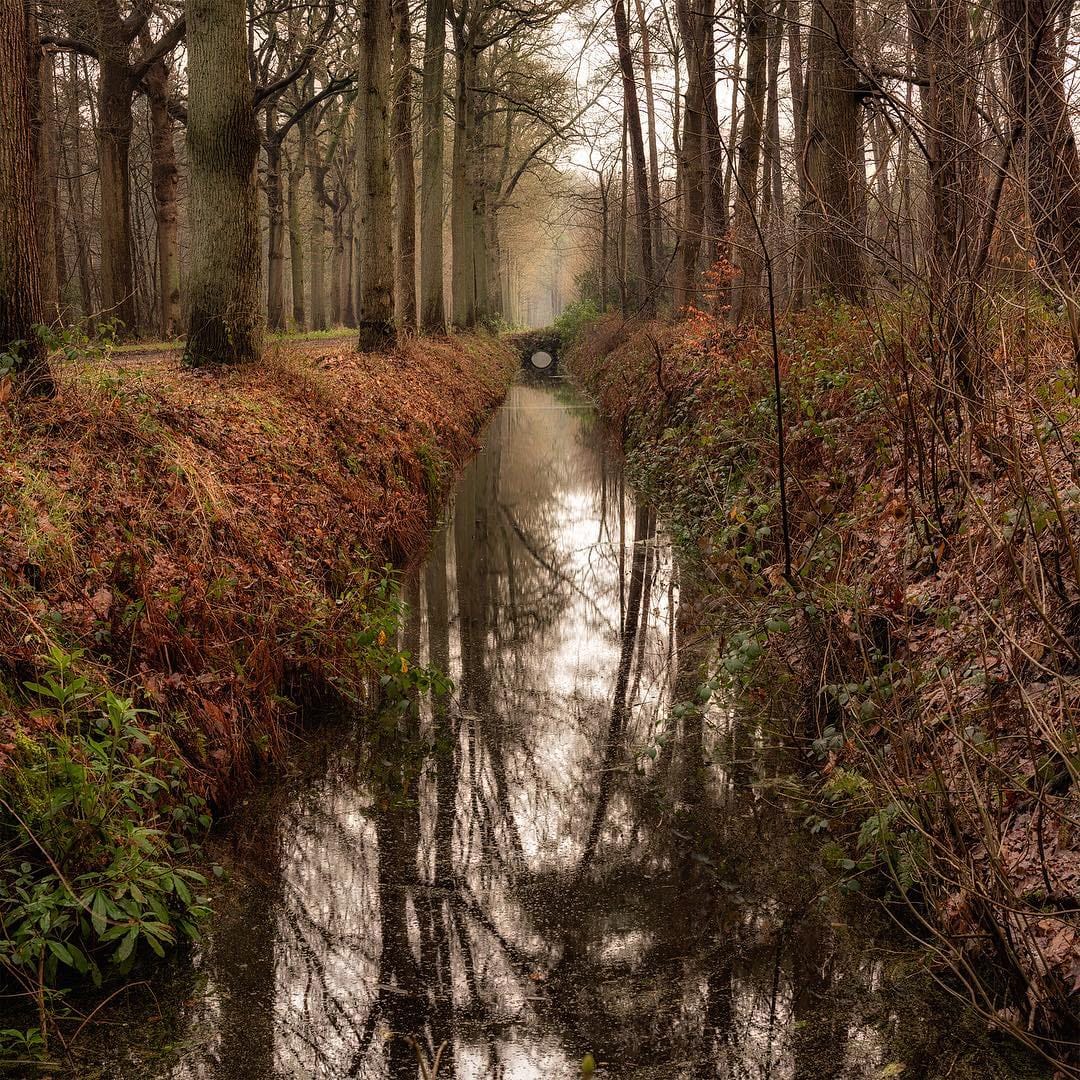 Post 4 by Anthony Verolme on Instagram (image)