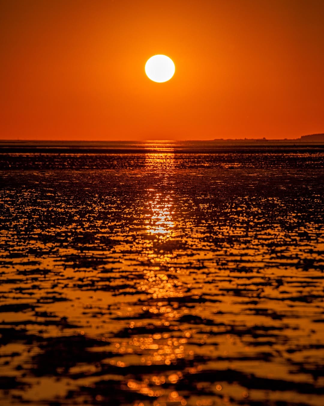 Post 9 by Anthony Verolme on Instagram (image)