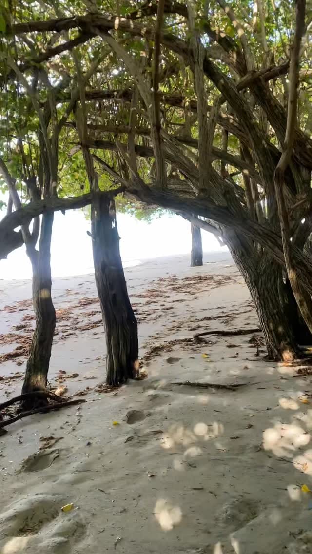 Post 2 by Léa🌴 on Instagram (video)