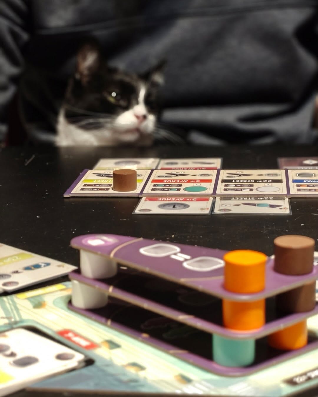 Post 10 by Cats and Meeples on Instagram (carousel)