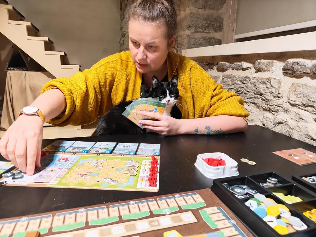 Post 3 by Cats and Meeples on Instagram (image)
