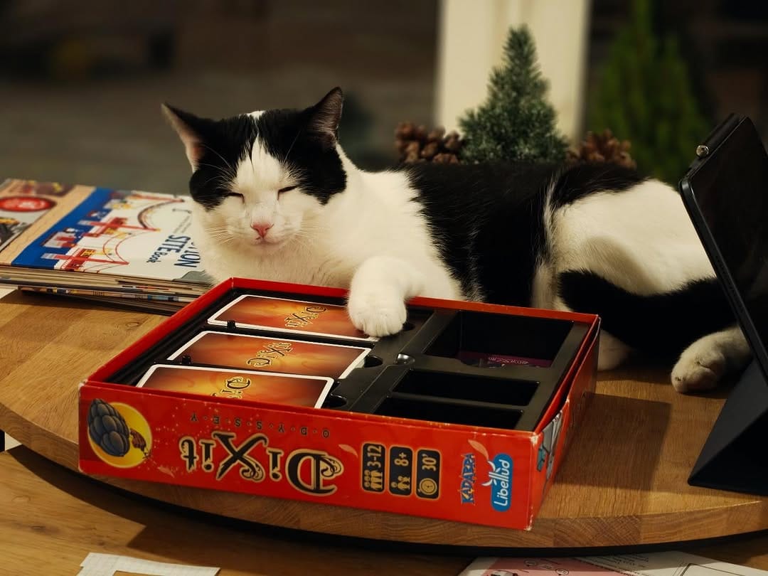 Post 6 by Cats and Meeples on Instagram (image)