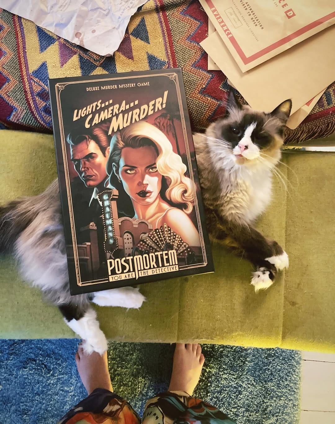 Post 2 by Cats and Meeples on Instagram (image)