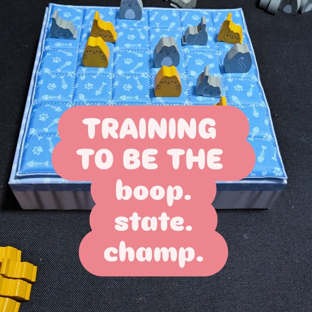 Post 7 by Cats and Meeples on Instagram (carousel)