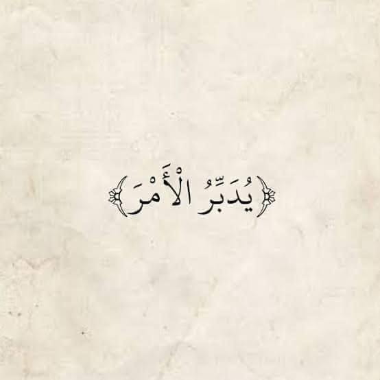 Post 2 by Islam Ibrahim on Instagram (image)