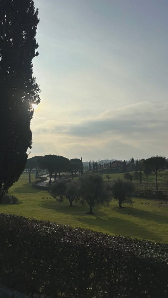 Post 4 by SaraSharingDreams 🌺 on Instagram (video)