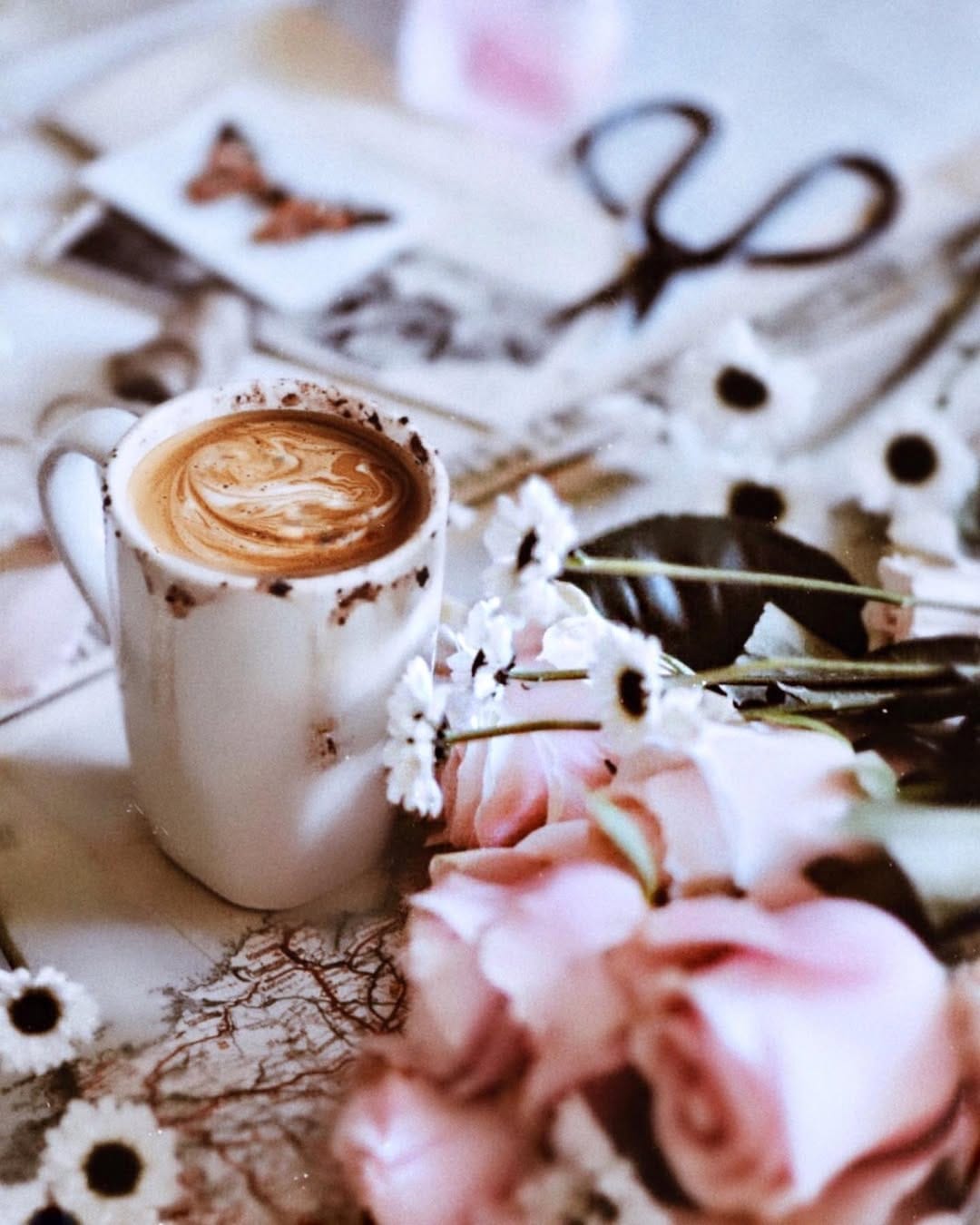 Post 4 by Paola 🇲🇽🌸☕️🍂🧁 on Instagram (image)