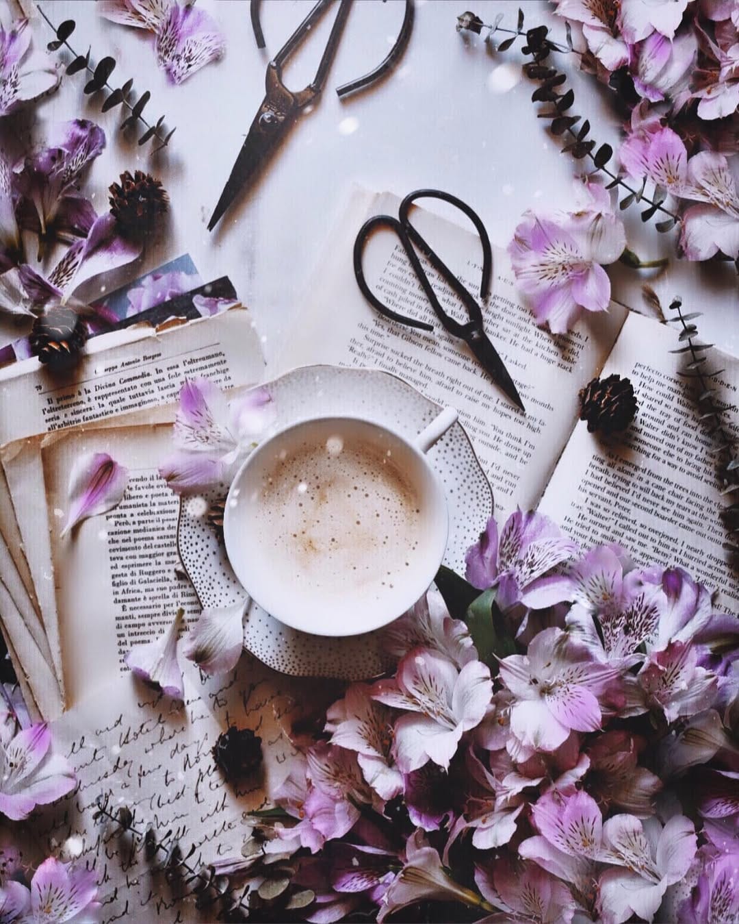 Post 1 by Paola 🇲🇽🌸☕️🍂🧁 on Instagram (image)