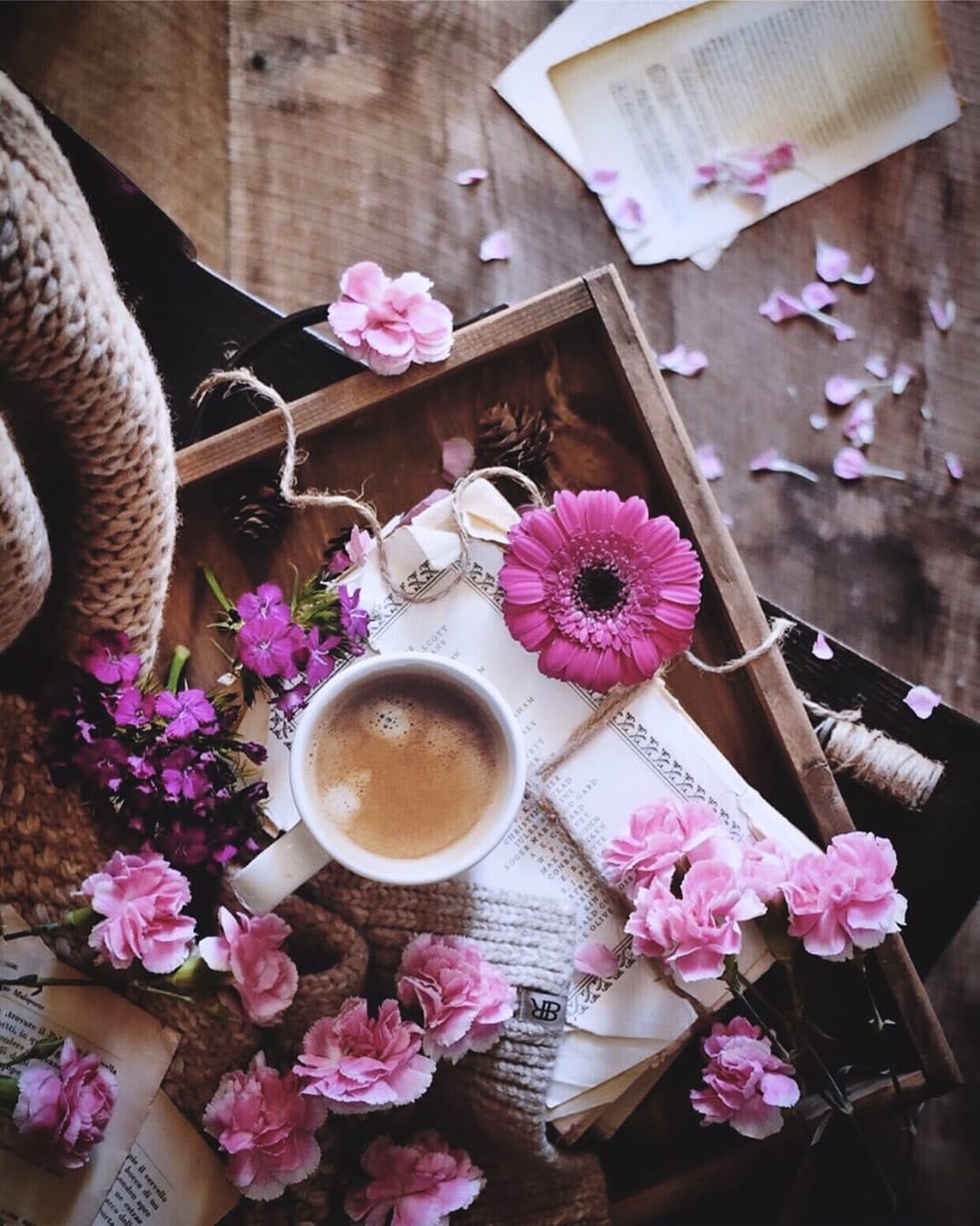 Post 9 by Paola 🇲🇽🌸☕️🍂🧁 on Instagram (image)