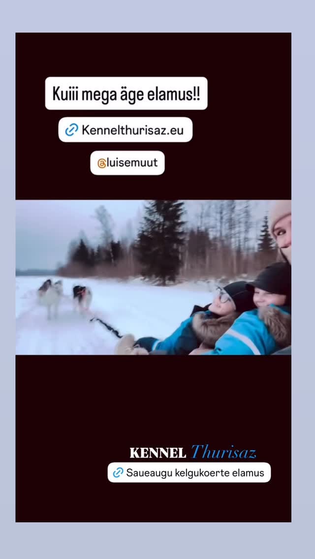 Post 3 by Saueaugu Sled Dog Experience | Sprint-racing Siberian Huskies on Instagram (video)