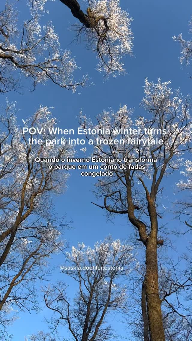 Post 7 by Saskia Doehler | Vida na Estonia on Instagram (video)