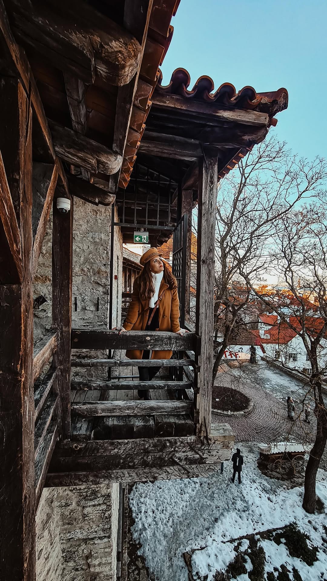 Post 9 by Saskia Doehler | Vida na Estonia on Instagram (video)