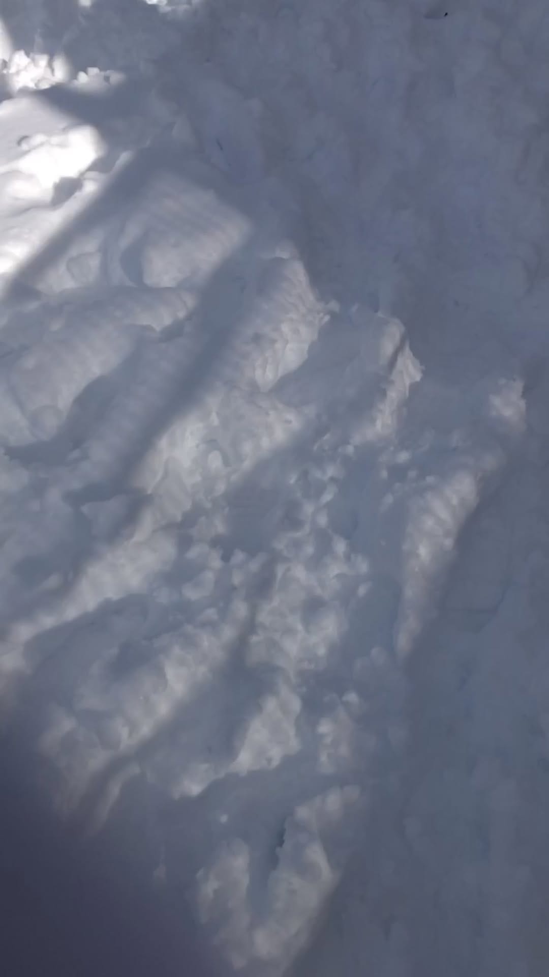 Post 6 by Dolunay on Instagram (video)