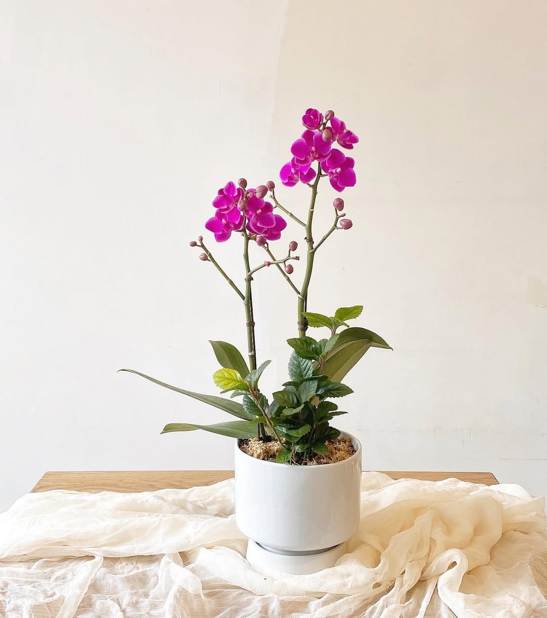Post 4 by Florist. TaeEun on Instagram (image)