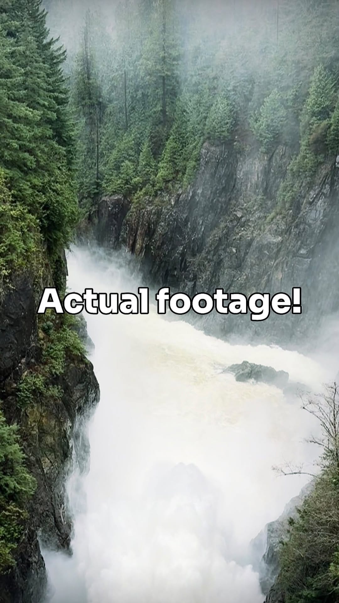 Post 3 by Paul Cheng on Instagram (video)