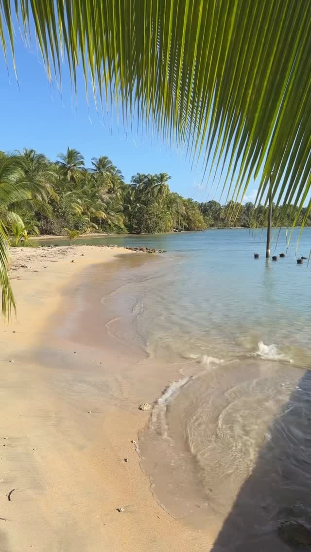 Post 2 by Kelly 🩵 on Instagram (video)