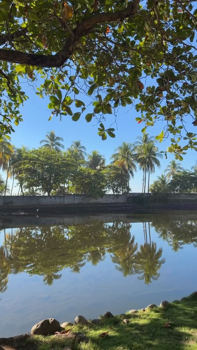 Post 9 by Kelly 🩵 on Instagram (video)