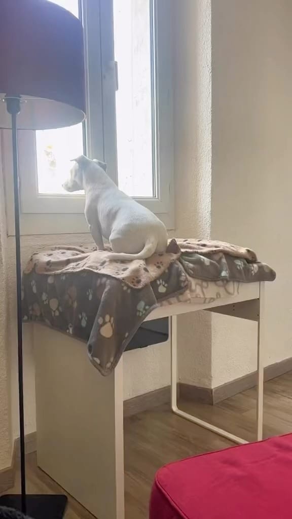 Post 7 by ✨Vanessa ✨ on Instagram (video)