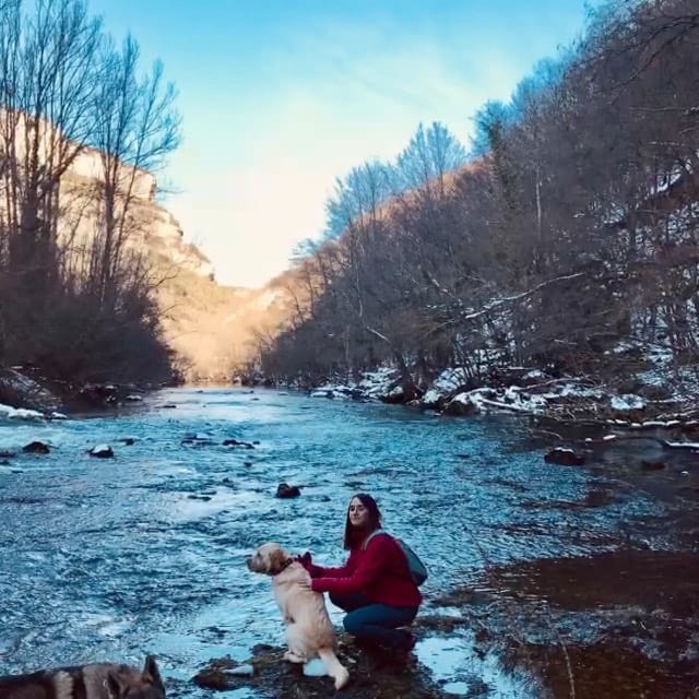 Post 4 by I'M DADDY!  🐾 on Instagram (video)