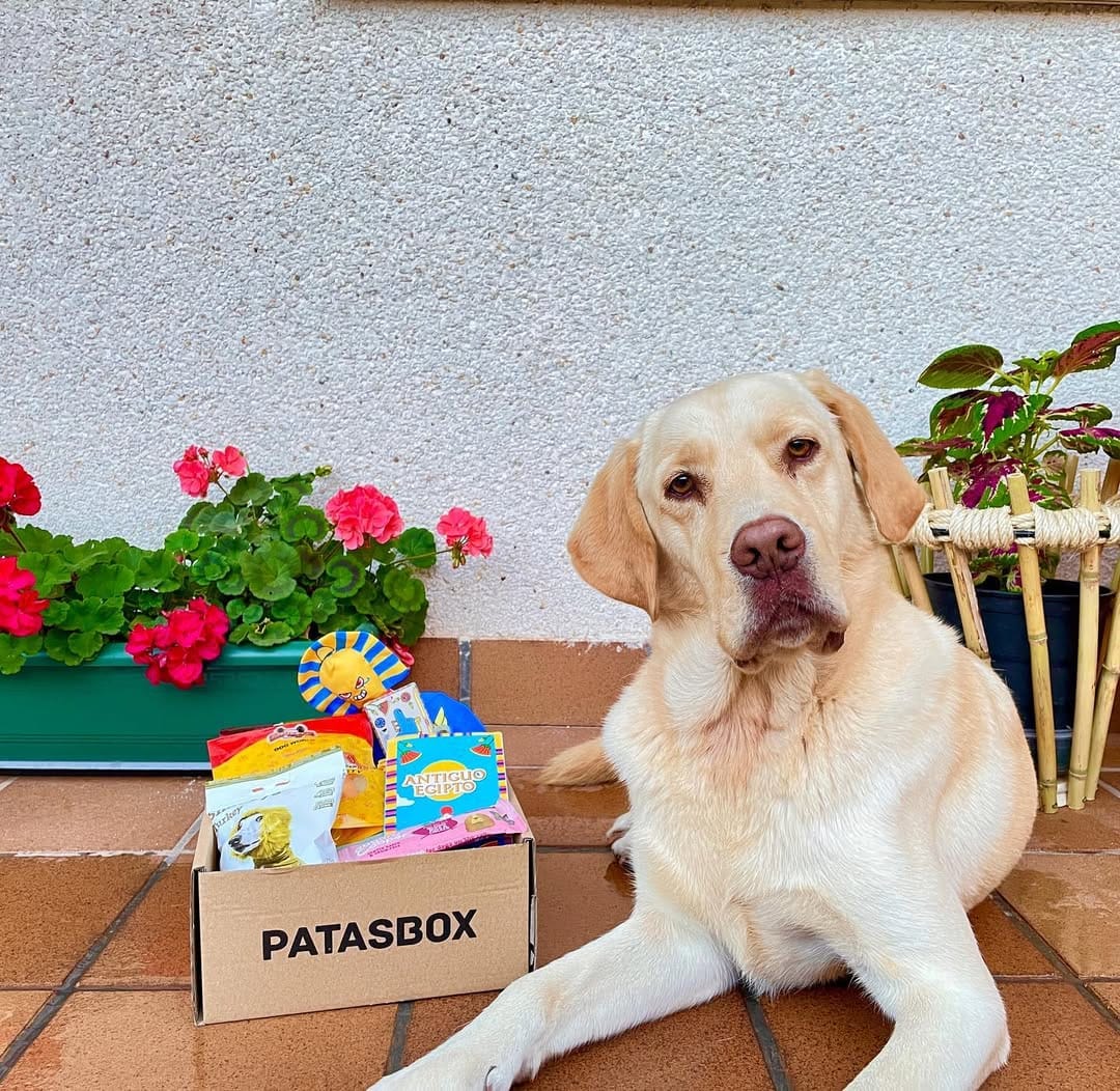 Post 2 by I'M DADDY!  🐾 on Instagram (image)