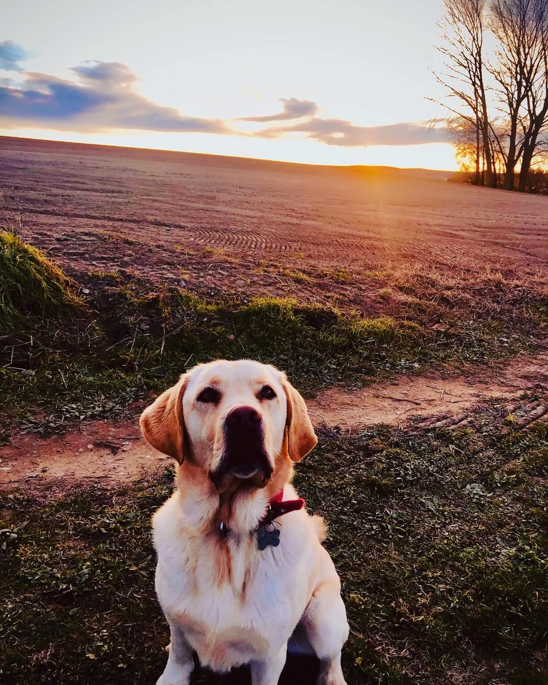 Post 9 by I'M DADDY!  🐾 on Instagram (image)