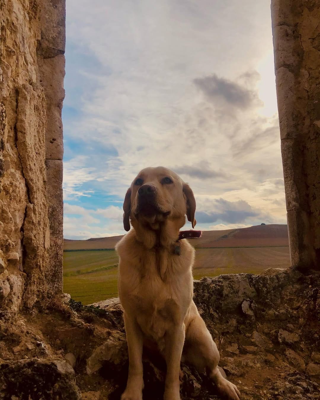 Post 7 by I'M DADDY!  🐾 on Instagram (image)