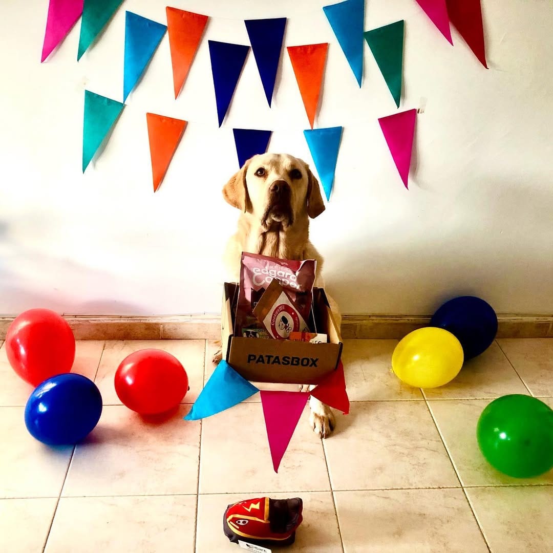 Post 10 by I'M DADDY!  🐾 on Instagram (carousel)