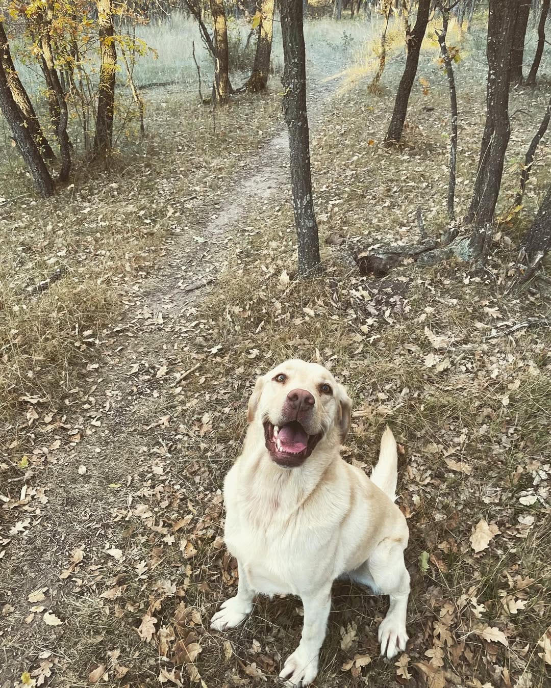 Post 1 by I'M DADDY!  🐾 on Instagram (carousel)
