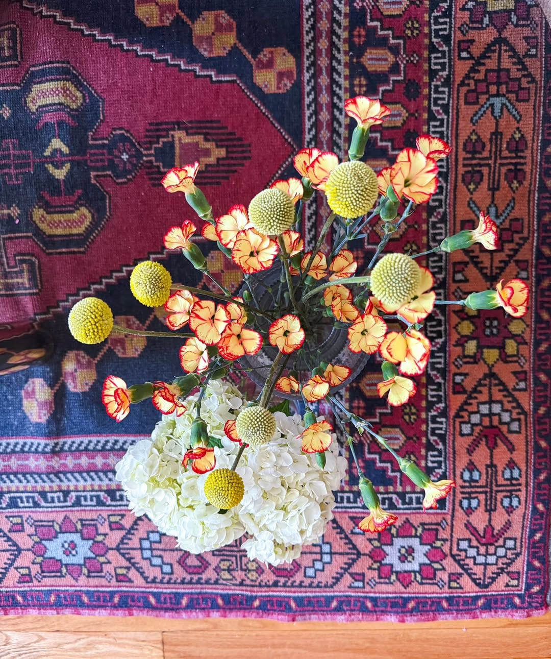 Post 5 by Adriana Garst on Instagram (image)