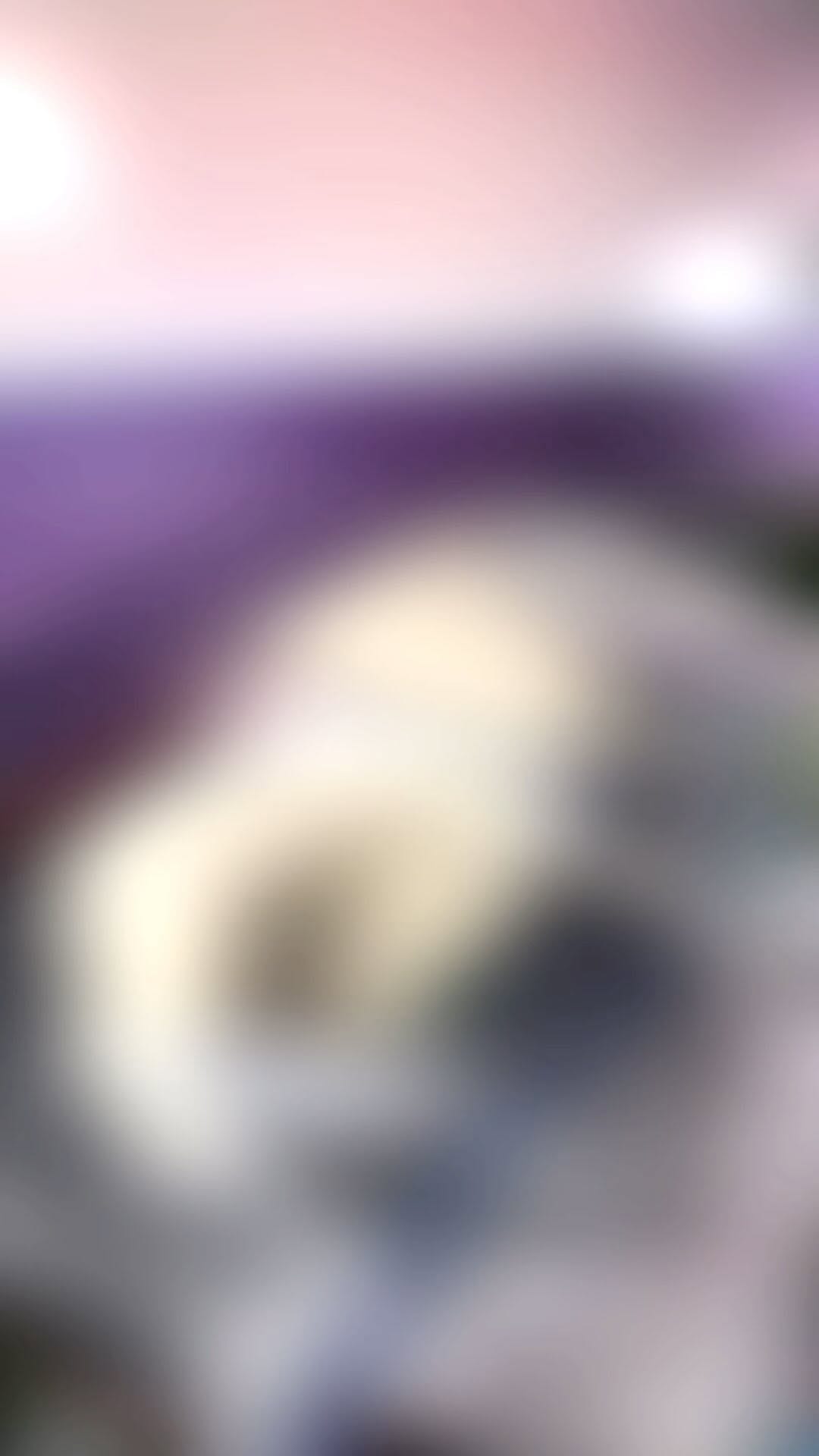 Post 4 by Thorsten Zielinski on Instagram (video)
