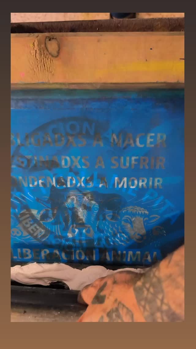 Post 2 by Serigrafiavegana on Instagram (video)