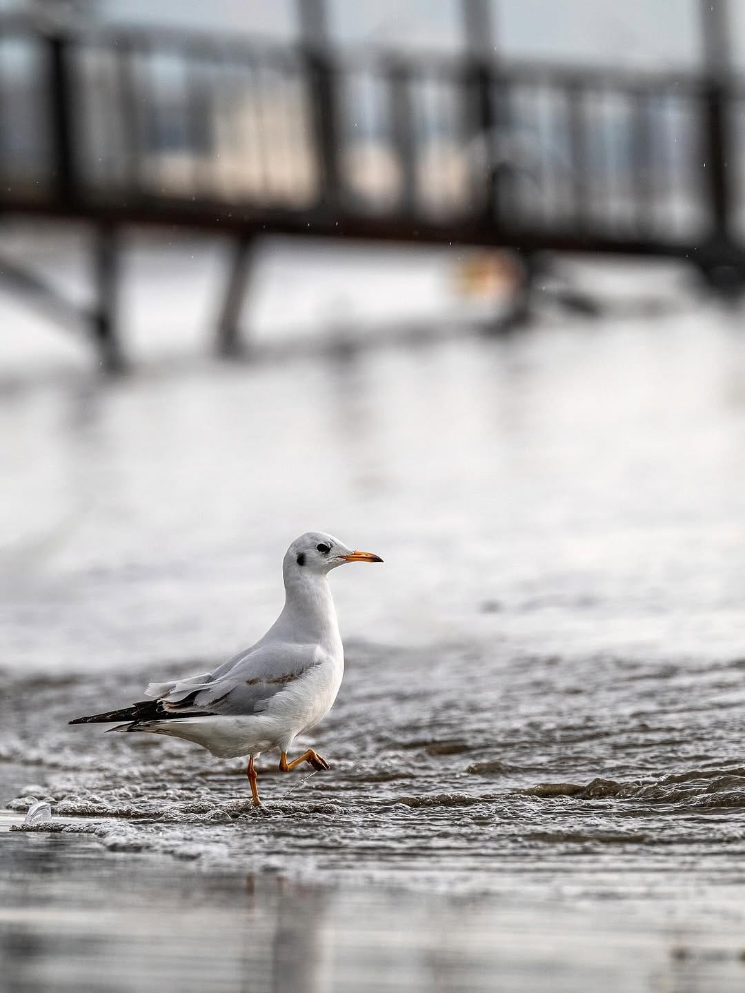 Post 6 by Bora Yetimoğlu Photography on Instagram (carousel)