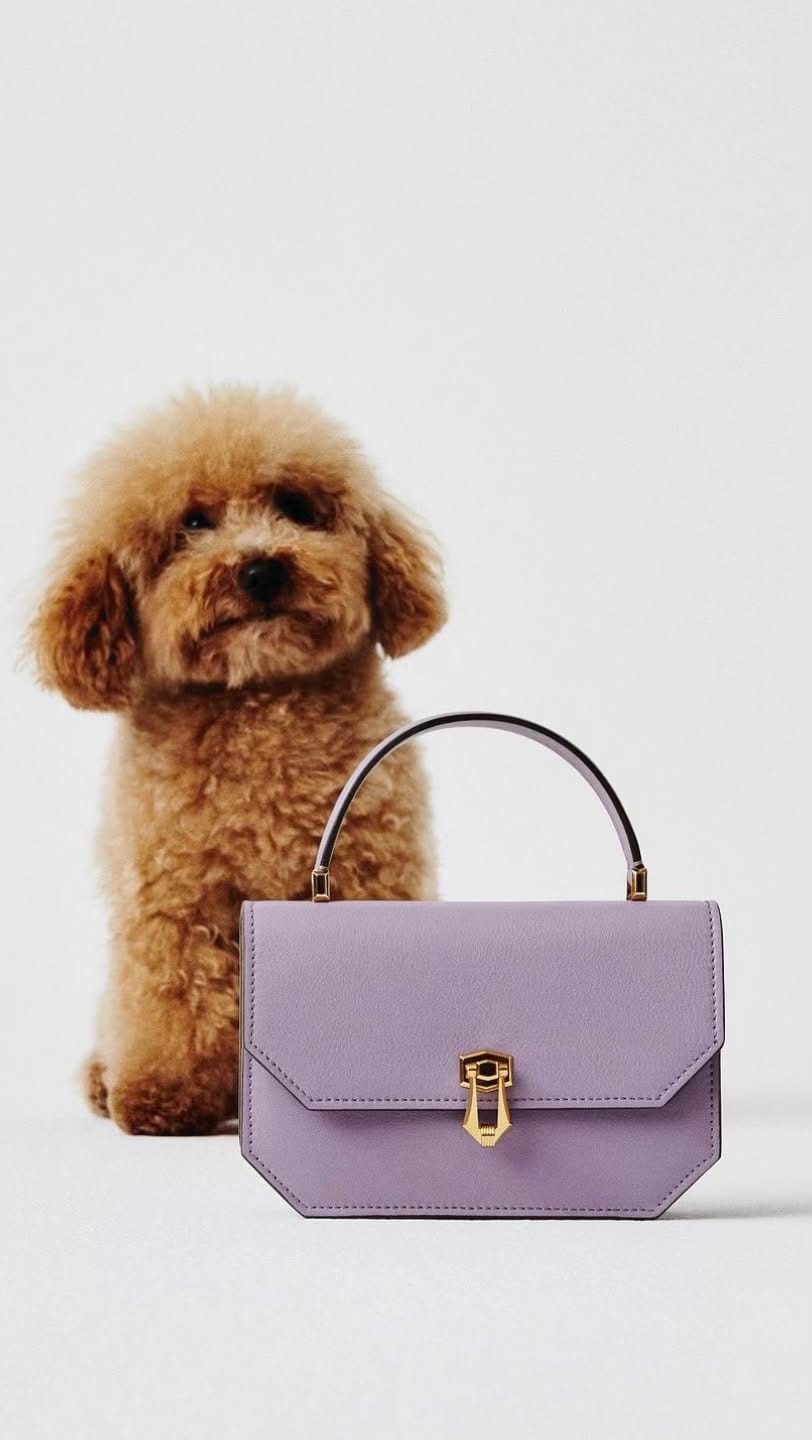 Post 6 by Audrey Taillée on Instagram (video)