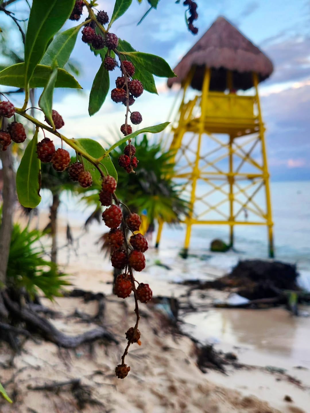 Post 3 by Landon Sveinson Photography on Instagram (image)