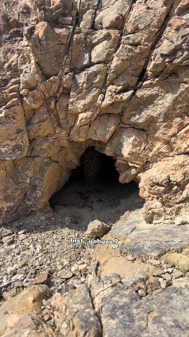 Post 2 by 𝗦𝗡𝗜𝗣𝗘𝗥7 on Instagram (video)