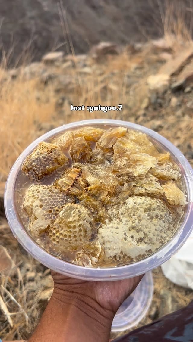 Post 5 by 𝗦𝗡𝗜𝗣𝗘𝗥7 on Instagram (video)