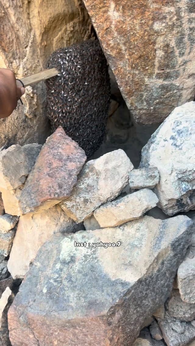 Post 4 by 𝗦𝗡𝗜𝗣𝗘𝗥7 on Instagram (video)