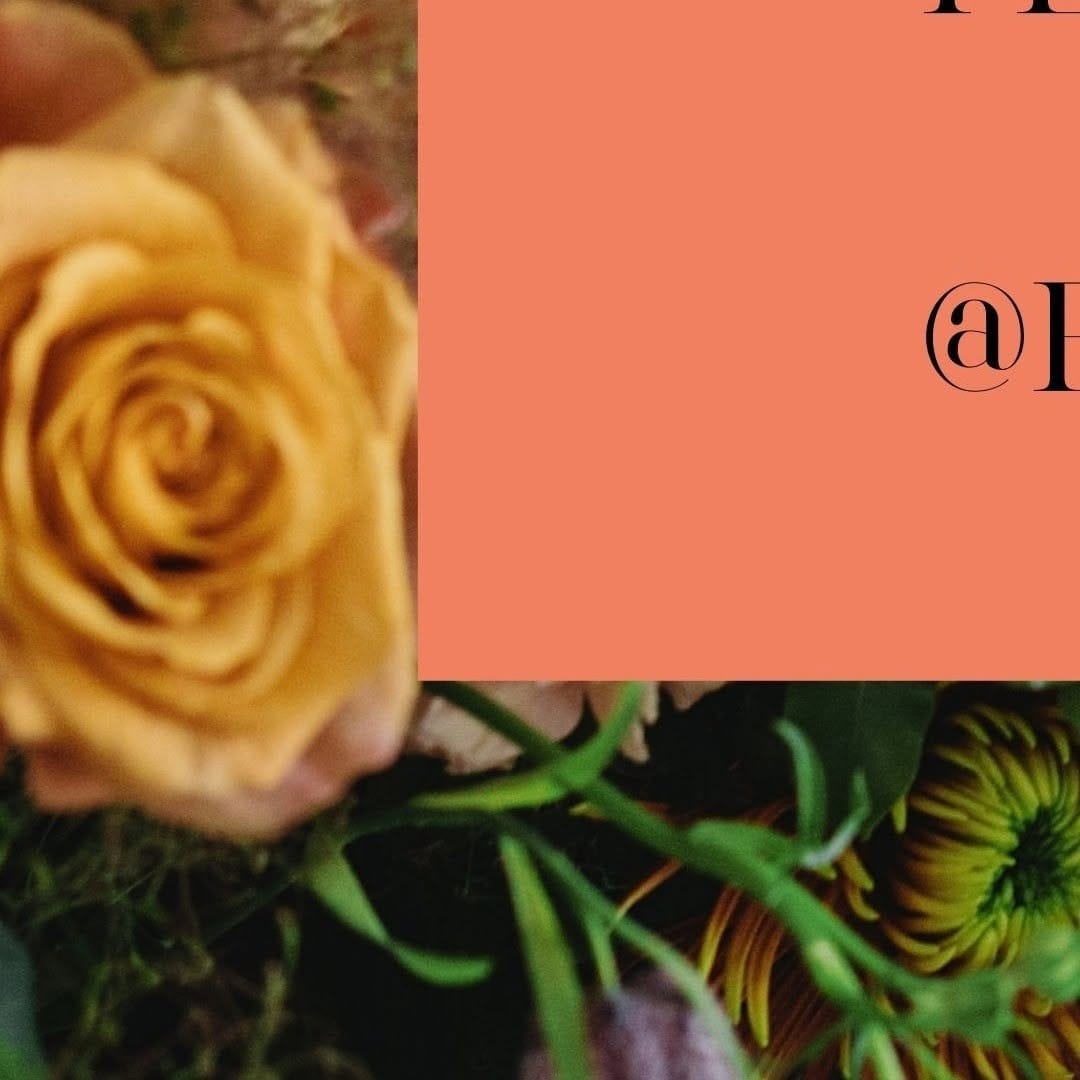 Post 4 by @irisandcoflowers on Instagram (image)