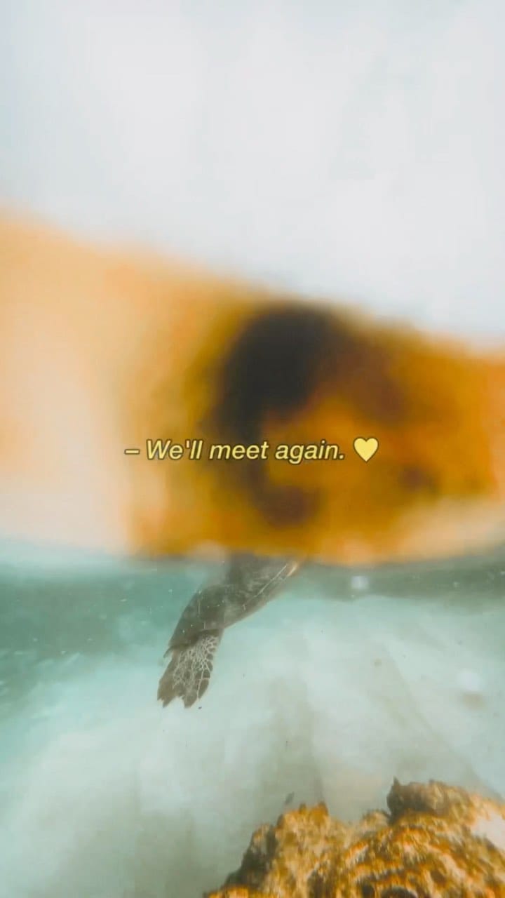 Post 7 by Gem Ceniza 🌞 on Instagram (video)