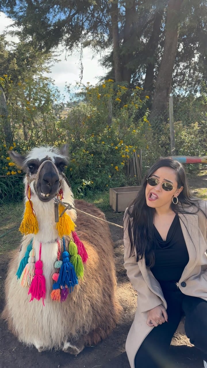 Post 6 by Maria on Instagram (video)