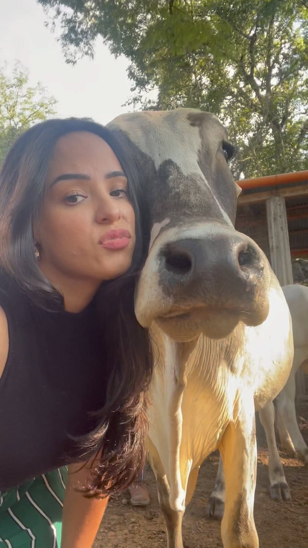 Post 8 by Maria on Instagram (video)