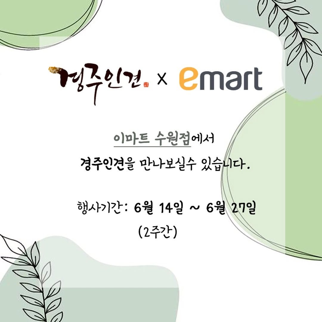 Post 4 by 경주인견 / 여름이불 / 침구세트 on Instagram (carousel)